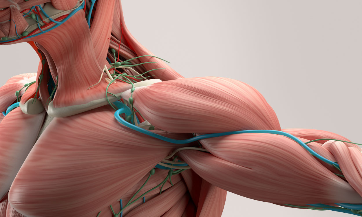 musculoskeletal disorders